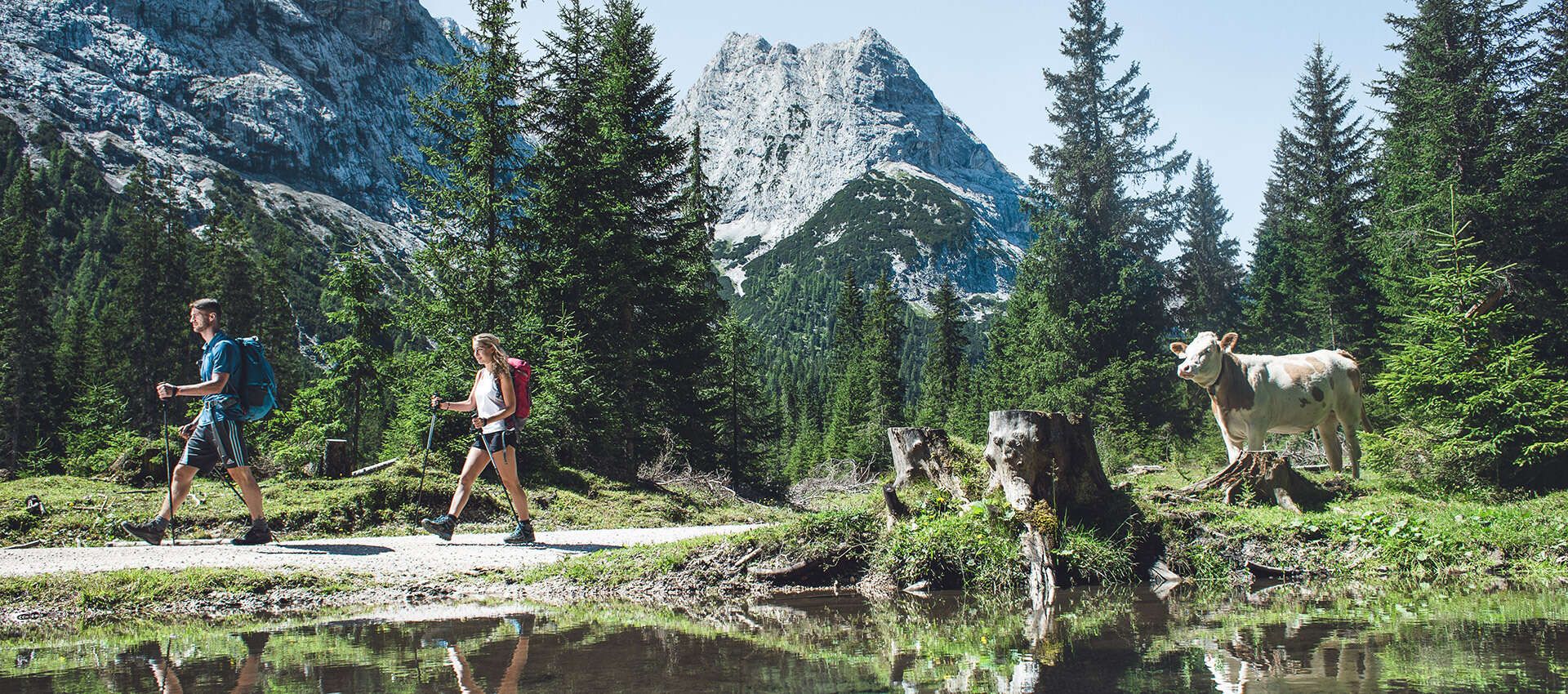 Hiking in Tyrol